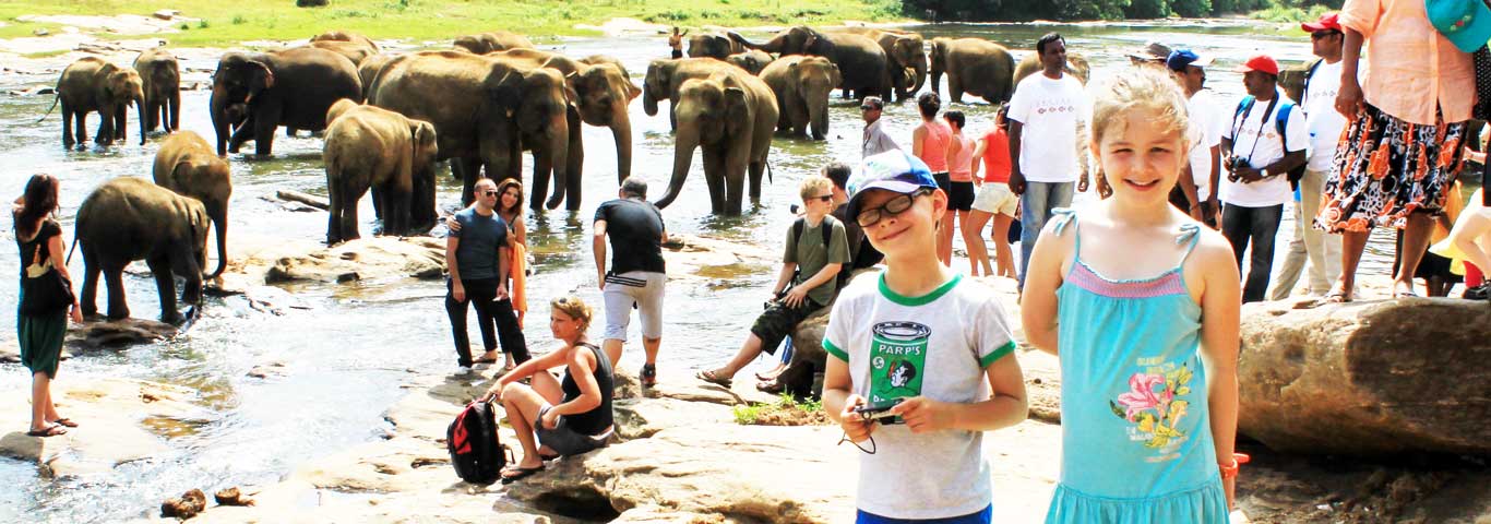 sri-lanka-elephant-watching-2